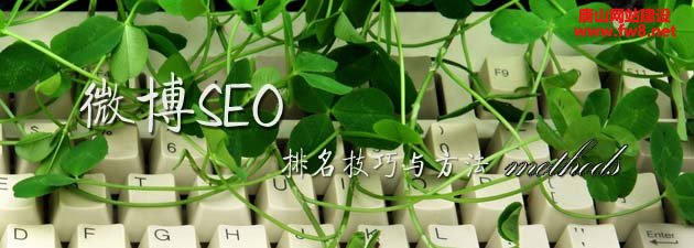 ΢SEO