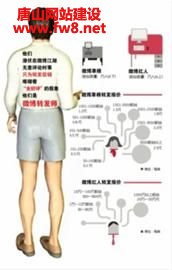王晓芬 制图 王晓芬 制图